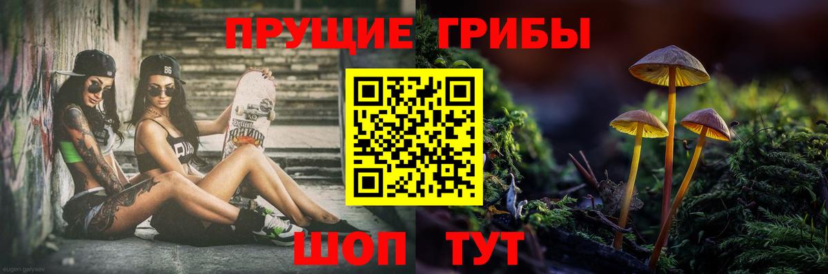 Галлюциногенные грибы GOLDEN TEACHER Серпухов